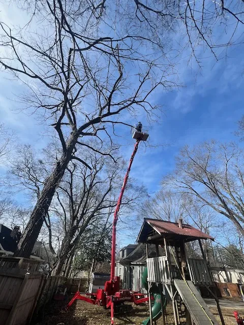 Greenbrier Tree Experts bucket work high over an estate property