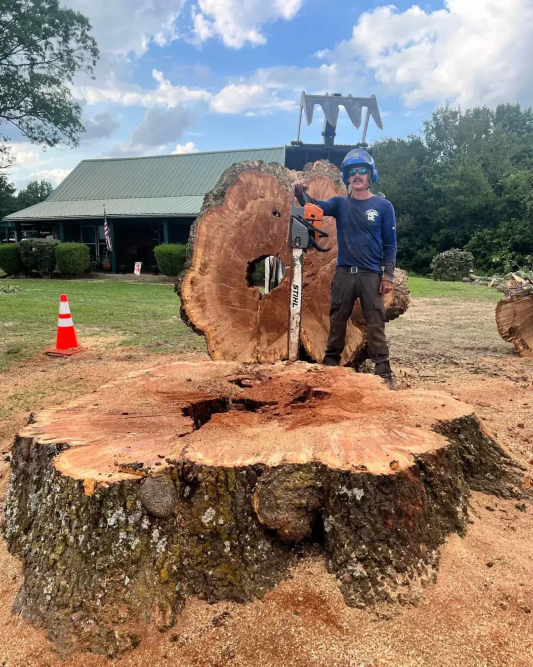 Greenbrier Tree Experts crew standing on the slab of a tree they removed