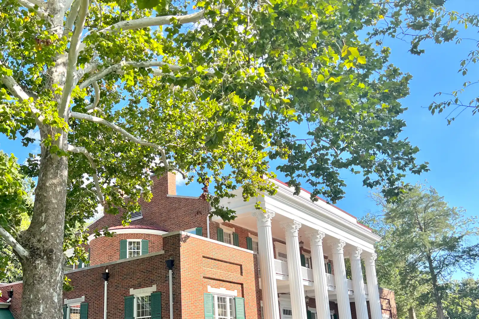 Leafy canopy and white columns at Ellington Agricultural Center in the Crieve Hall area of Nashville, Tennessee
