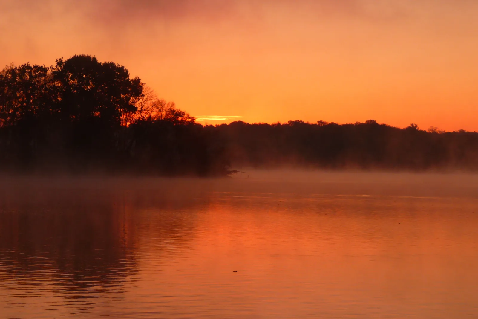 Sunrise and mist over Old Hickory Lake with a treeline silhouette, Hendersonville, Tennessee