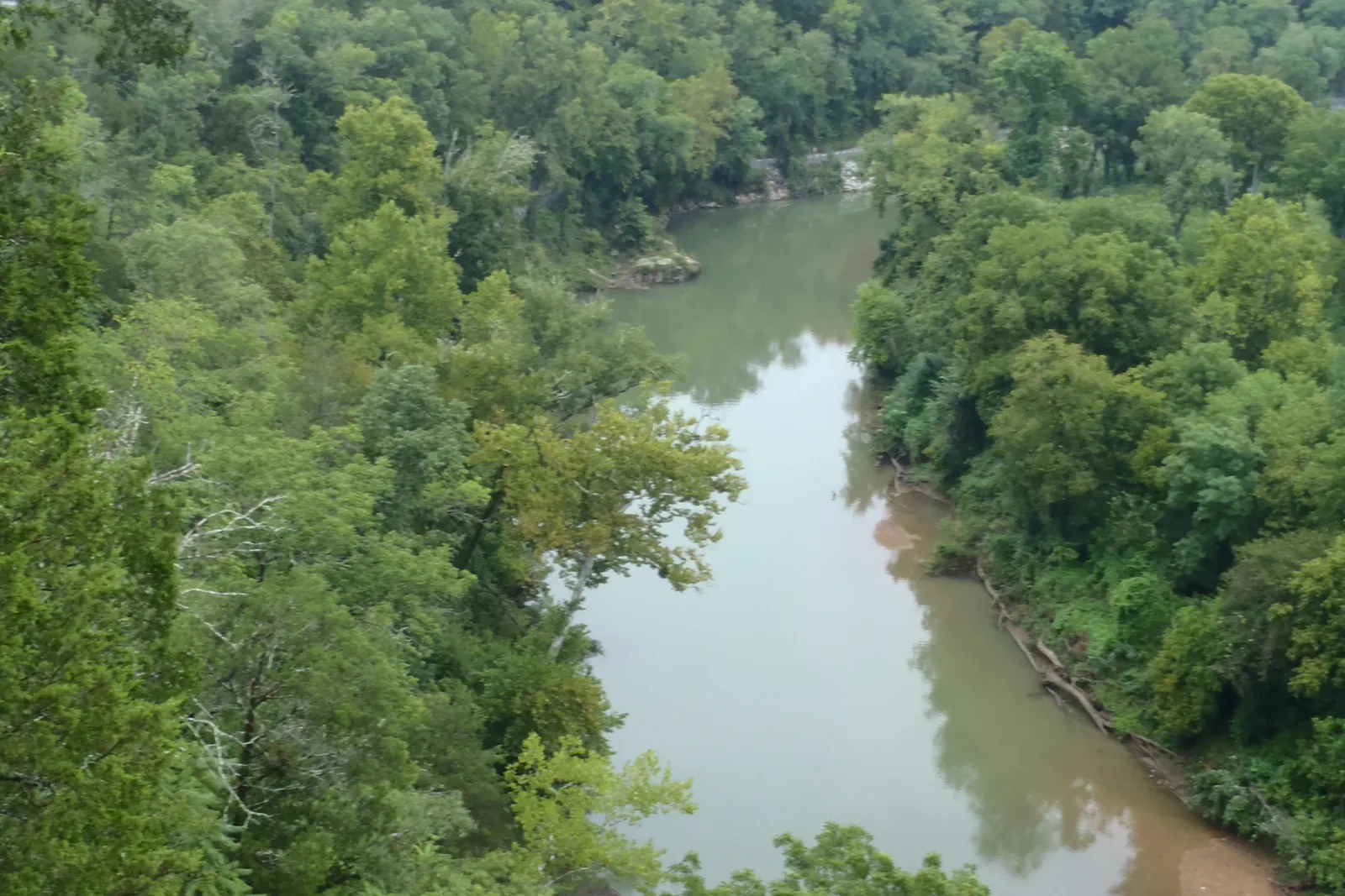 The Harpeth River curving through green wooded hills at Harpeth River State Park near Kingston Springs, Tennessee