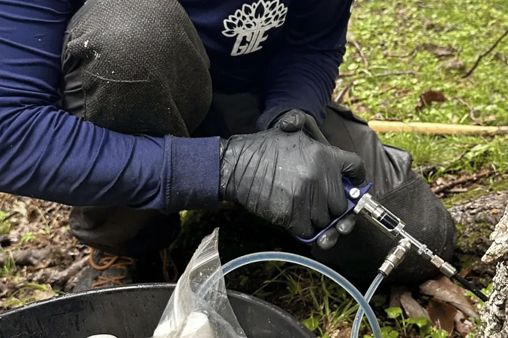 Tree health treatment equipment prepared at the base of a mature tree