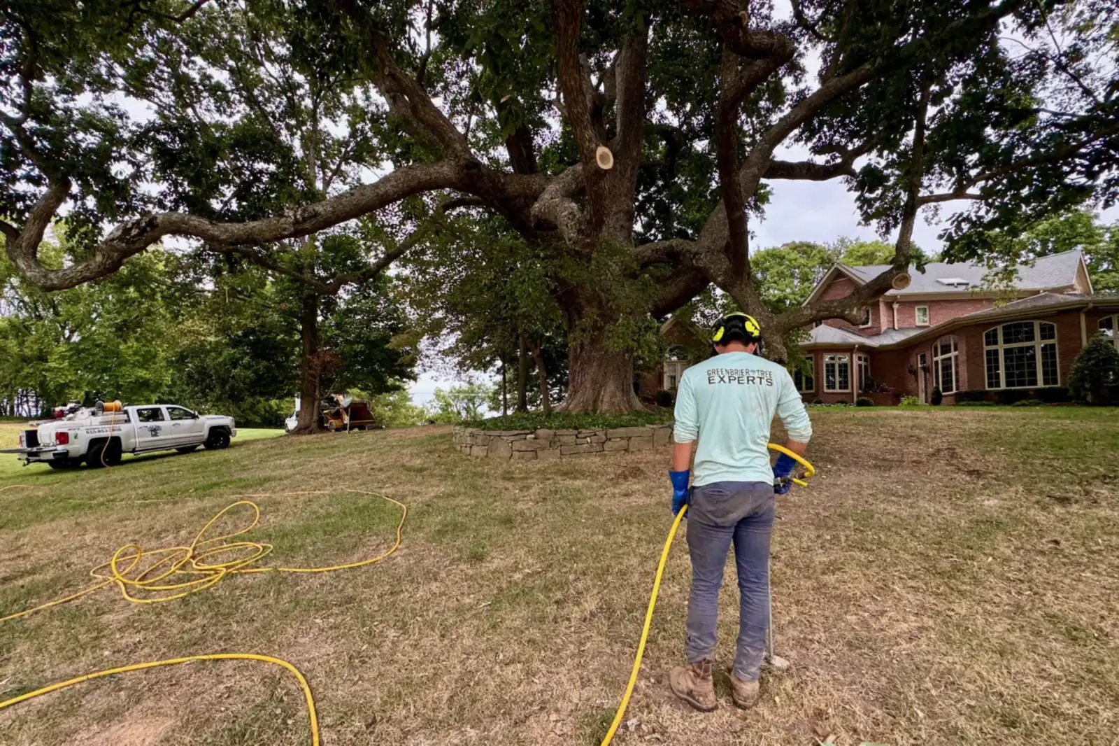 Greenbrier Tree Experts applying a tree health treatment at a home